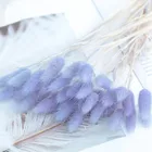 Натуральные сушеные цветы Bulrush, искусственные ветки растений, красочные ветки, пампасная трава, фракгмиты, бытовое украшение