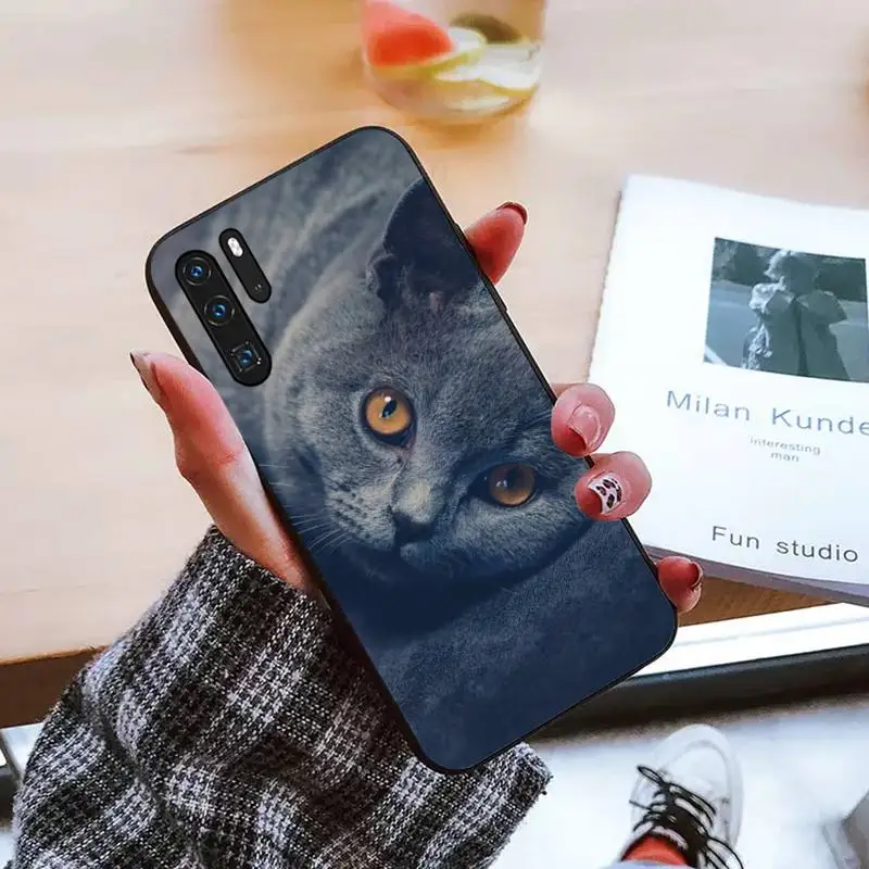 

Chartreux cat cute lovely Phone Case For Huawei honor Mate P 9 10 20 30 40 Pro 10i 7 8 a x Lite nova 5t