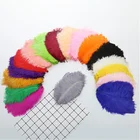 Новинка 10 шт.лот, пушистое страусиное перо 20-25 см, сделай сам, перья для рукоделия, карнавал, свадьба, украшение для дома, ювелирное изделие