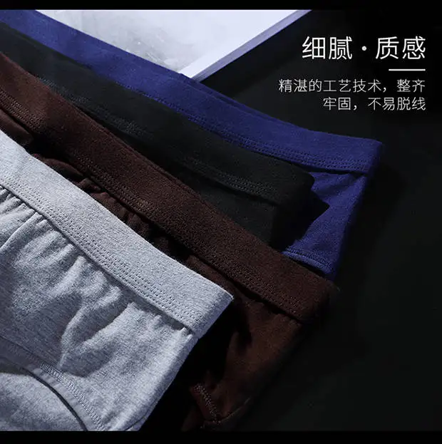 

4/pcs Teen underwear men's underwear cotton briefs solid color large size underwear warm breathable cotton briefs