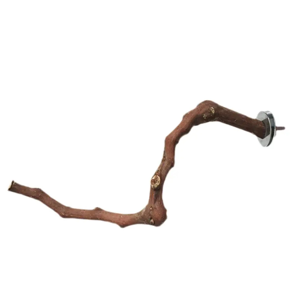 Домашний попугай птица виноград деревянная палочка Корелла насест укус