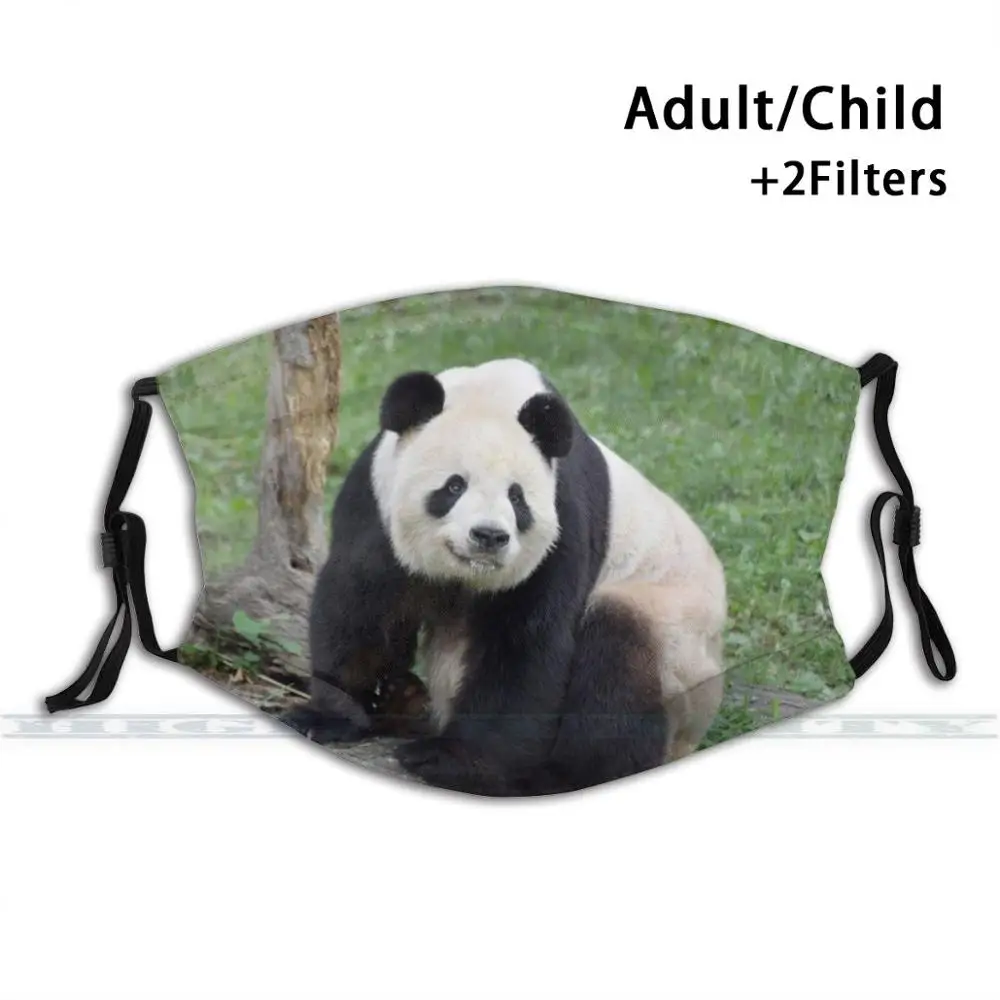 

Giant Panda Tian Tian At The National Zoo Fashion Print Reusable Funny Pm2.5 Filter Mouth Face Mask Giant Panda