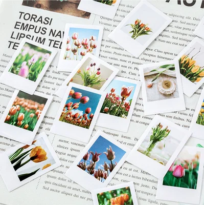 

46Pcs/box Ins Flower Stickers For Decor Garden Tulip Stickers Scrapbooking Journal Stickers School Stationery