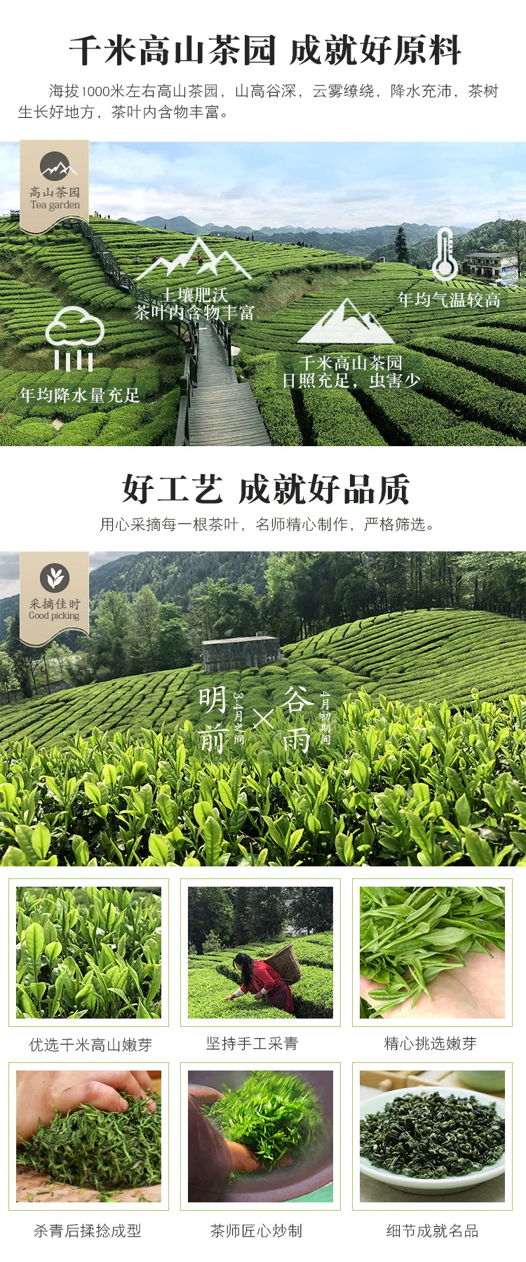 

China Yunnan Bi-luo-chun Green CN Tea Real Organic New Early Spring Green CN Tea for Weight Loss Health Care
