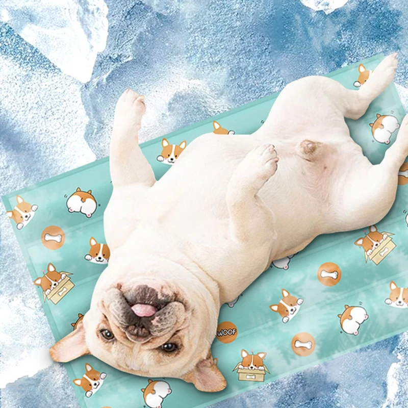 

Dog Plastic Foldable Cooling Mat Summer For Dogs Cat Breathable Blanket Cat Ice Pads Breathable Pet Dog Bed Pet Mat