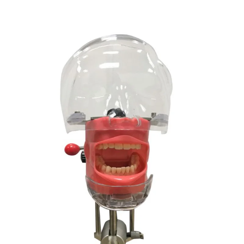 Новейший пороговый фантомная головка модель с новый стиль Настольный станок для