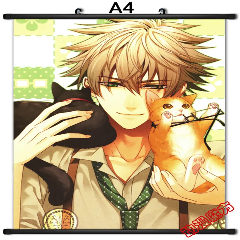 Декоративные картины японского аниме: амнезия крутой мальчик Тома укио Орион