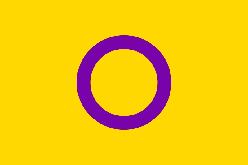 

Флаг Intersex pride 90x150 см