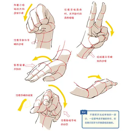 

Cartoon characters Entry Technique Book Comic Line Drawing Zero Basic Manga Sketch Tutorial Textbook