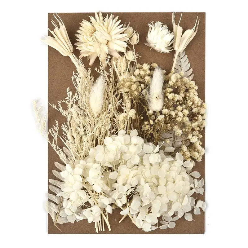 Форма для засушенных цветов из смолы самостоятельного изготовления полимерных