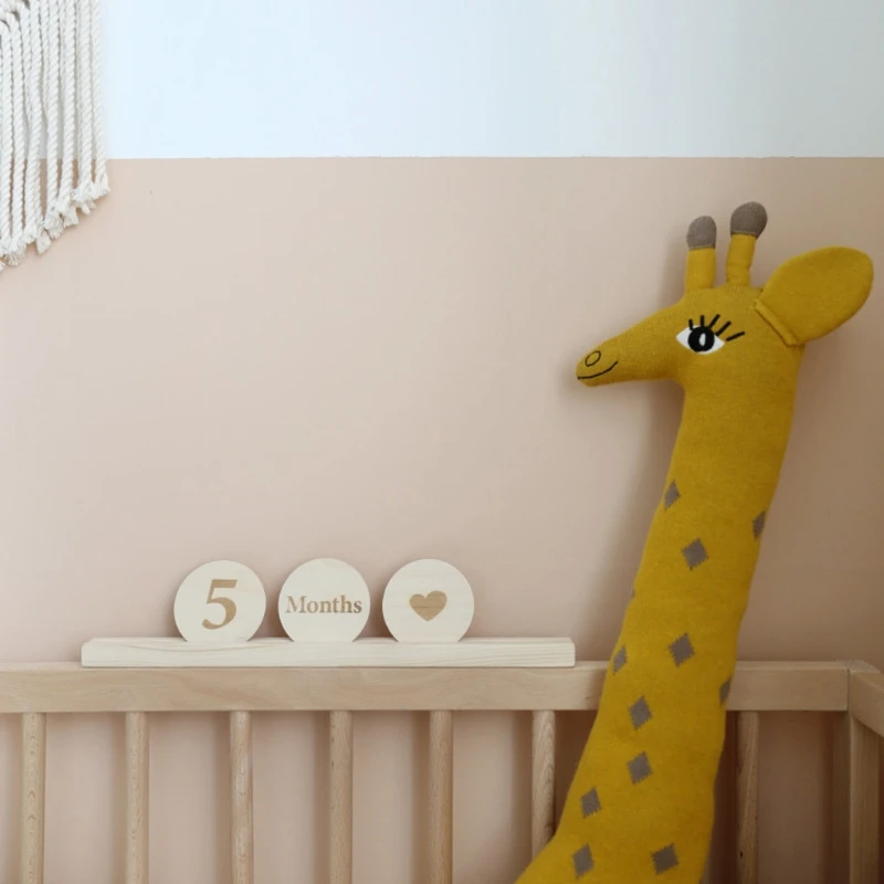 

Wooden Monthly Milestone Photo Cards Record Discs Early Learning Toys for Baby
