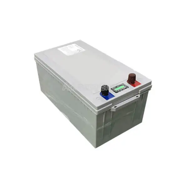 

Hot Sale LiFePO4 Battery Pack 24V 100Ah Lithium Deep Cycle Solar Battery with BMS/ LED Indicator