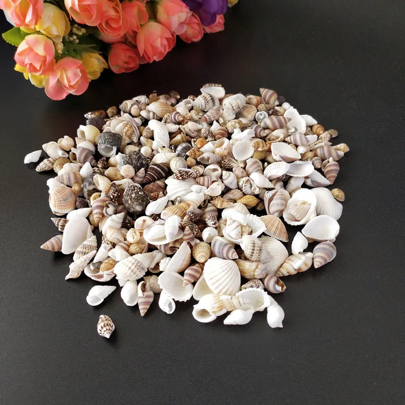 

100g sea star Thick Scallop Natural Shell&Conch Home Decoration Aquarium Landscaping DIY Wishing Bottle Material sea conch