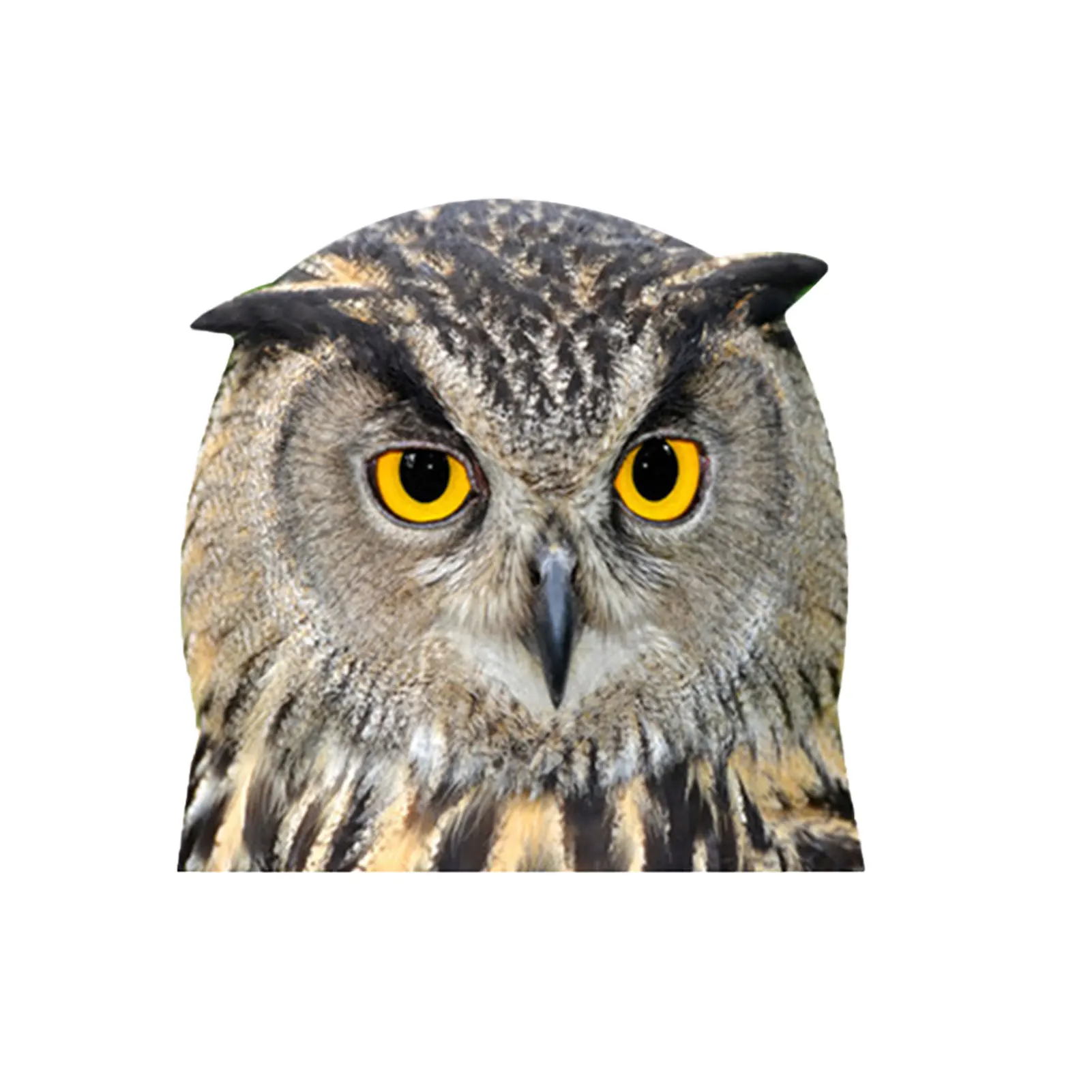 

Car Window Glass Animal Series Vehicle glass Decal Stickers