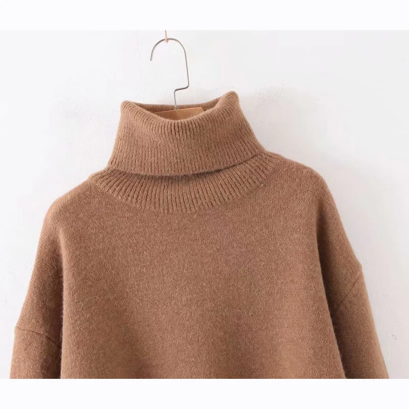 Повседневный Коричневый женский свитер 2019 Весна-Осень Новая мода Водолазка