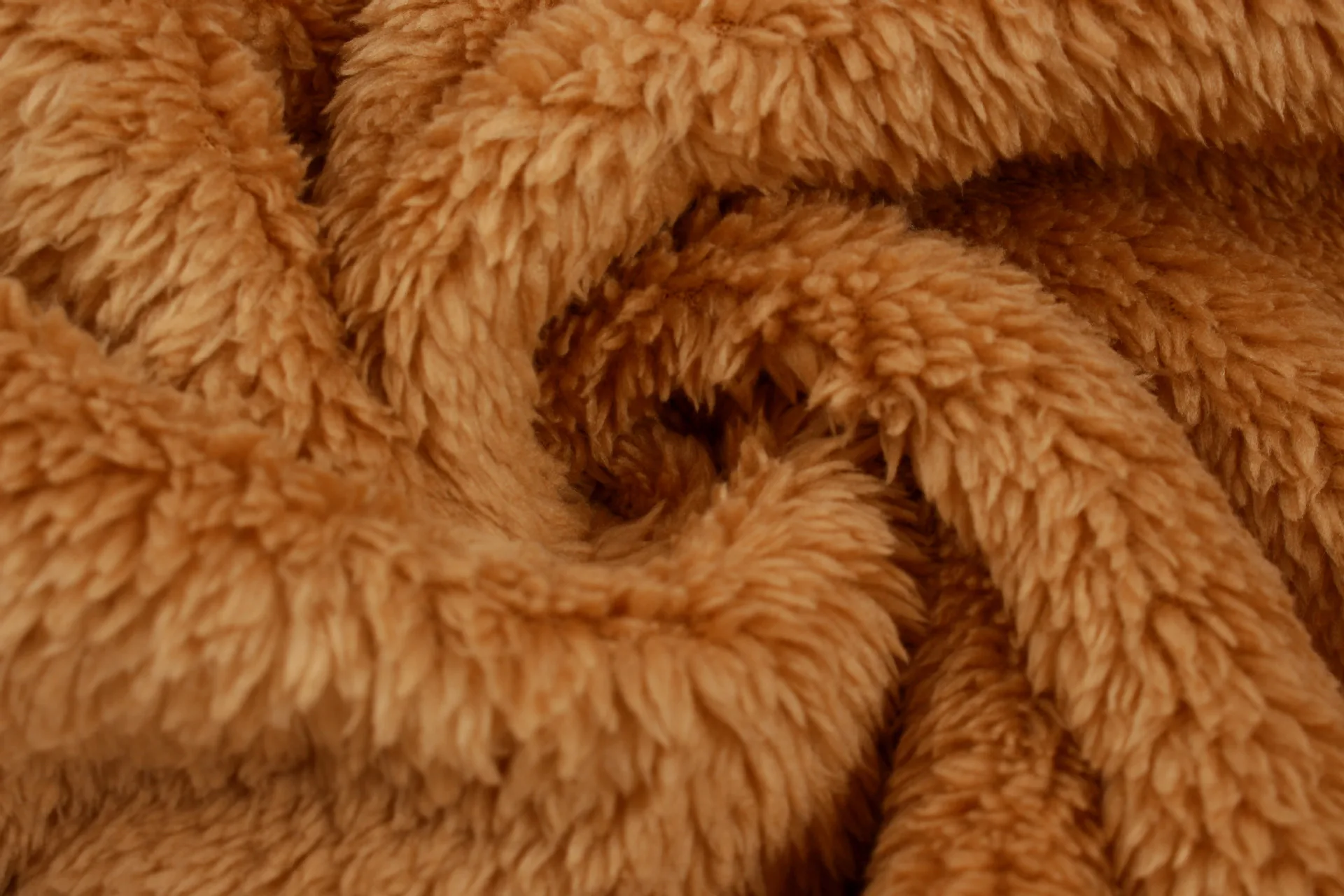 

Women Autumn Winter Teddy Coat Hooded Jacket Leopard Patch Zipper Fluffy Plush Female Faux Fur Jacket Coat Female Outerwear