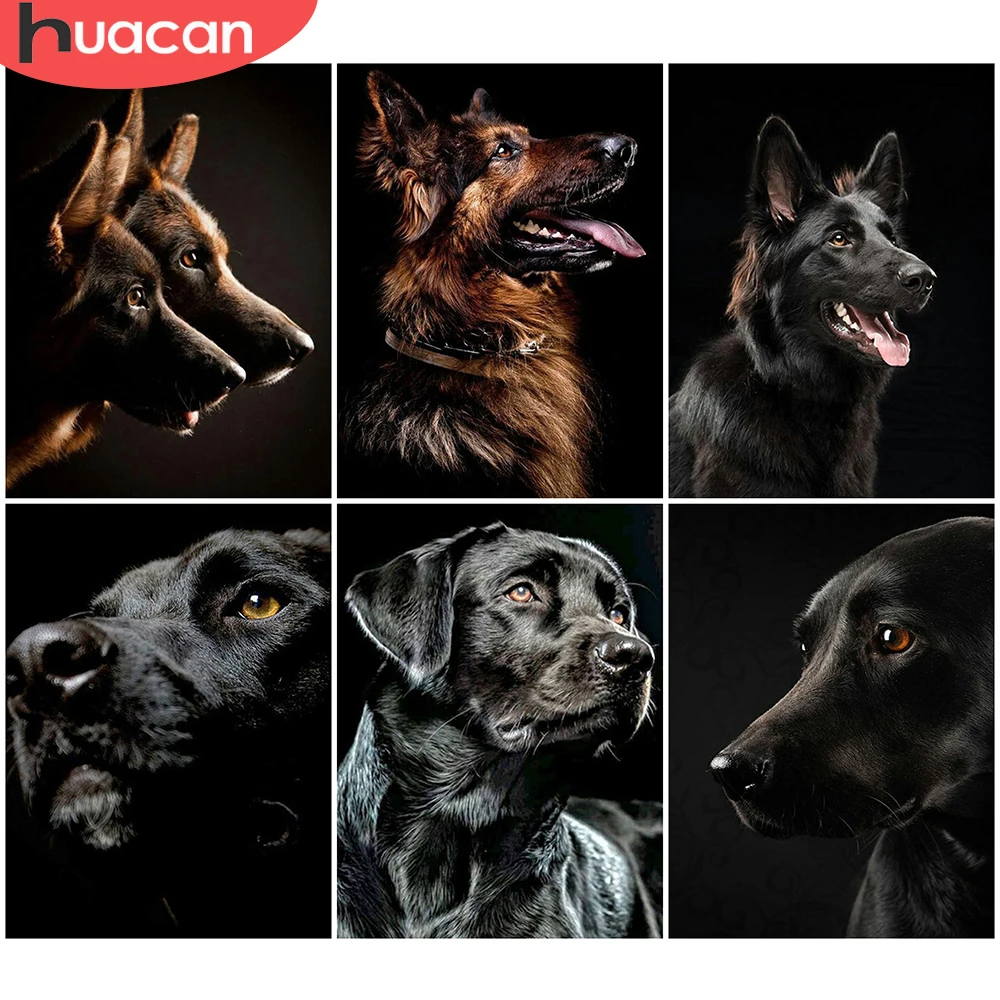 

HUACAN DIY Diamond Painting Black Dog Diamond Embroidery Animal Full Square Round Mosaic Rhinestone Cross Stitch Home Decor