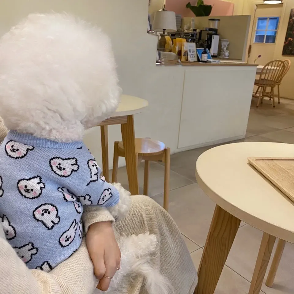 

Rabbit sweater pet autumn and winter dog clothes small puppy spring and autumn clothes Teddy Bichon Pomeranian cat winter