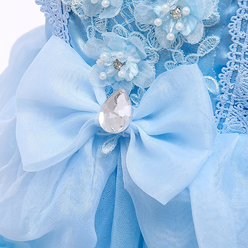 

Princess Cinderella Dress for Girls Kids Christmas Halloween Dress Up Costume Party Elegant Dresses with Jewelry