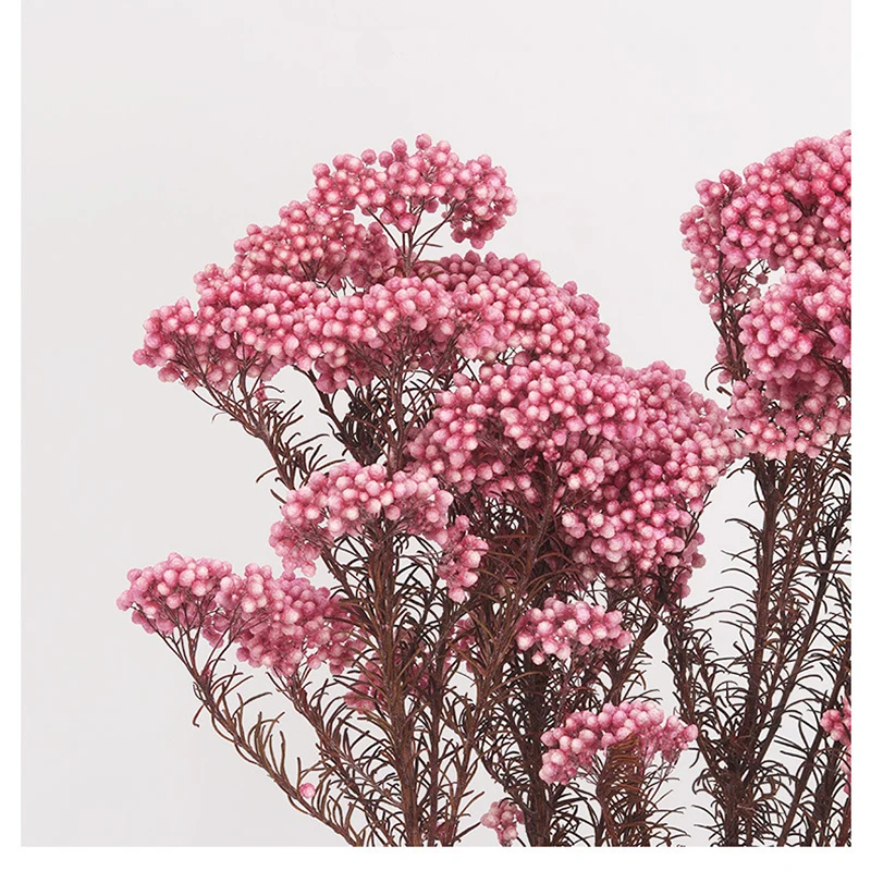 Вечный рисовый цветок 50 г зернистый натуральный искусственный букет самодельные