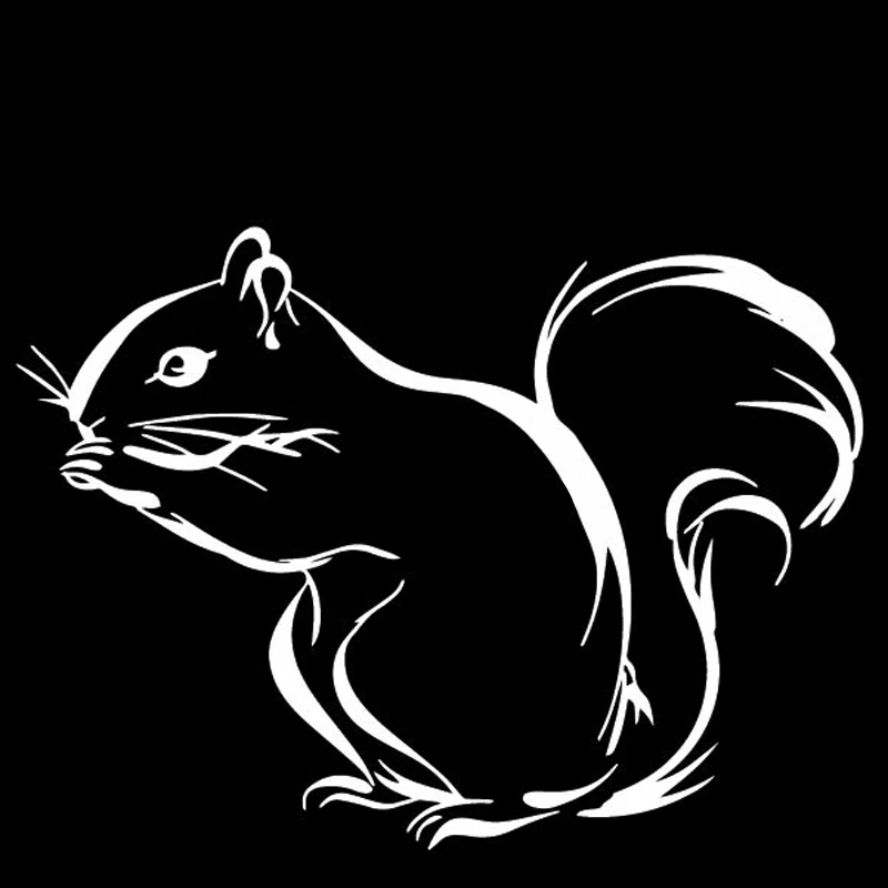 Красивые красивые декоративные наклейки на багажник белки автомобильные