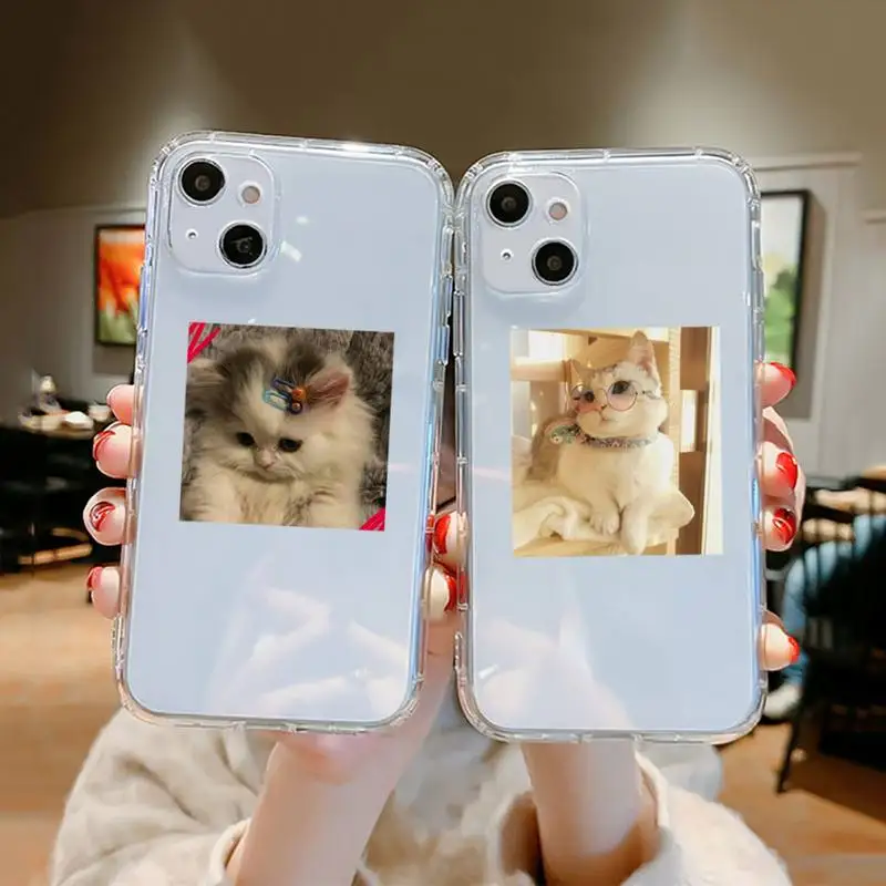 

Cute aesthetics Cat Coque Phone Case Transparent soft For iphone 12 11 13 7 8 6 s plus x xs xr pro max mini