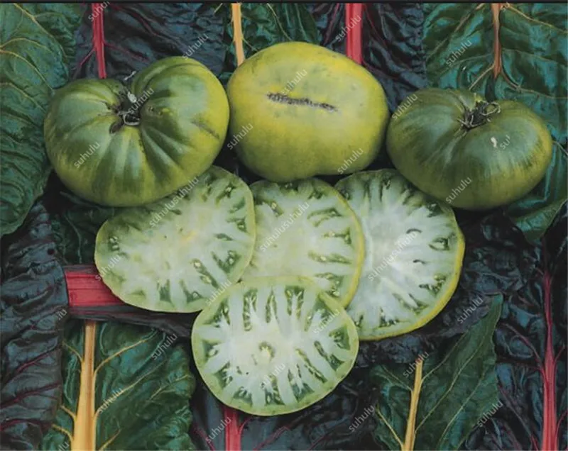 200 шт искусственных томатов |