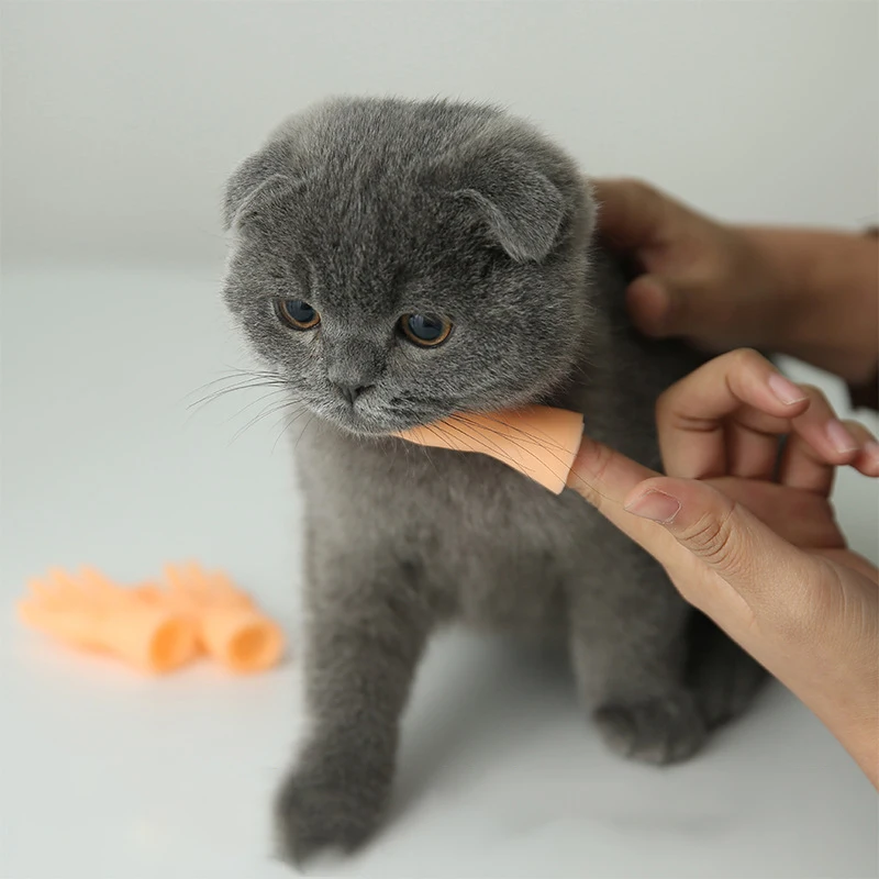 

Cartoon Funny Finger Hands Set Creative Finger Toys Of Toys Around The Small Hand Model Halloween Gift Toys Hand Finger Puppets