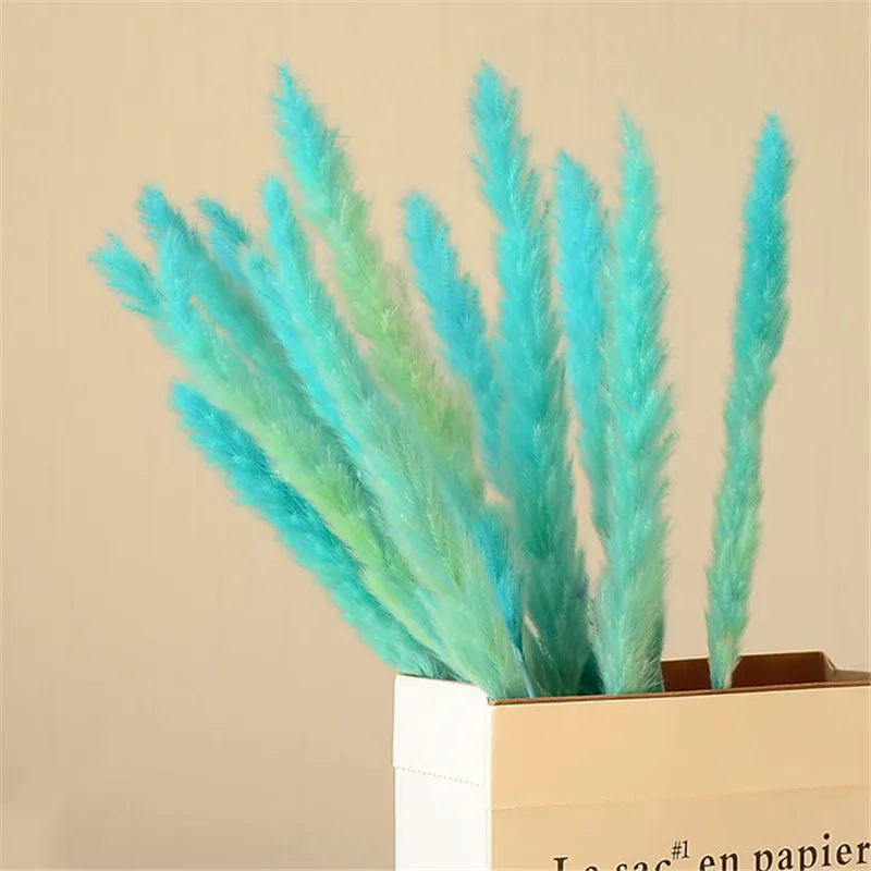 

Free shipping pampas grass colorful plume 25-30cm decor wedding home mixed color dried small pampas reed grass 20pcs No Vase