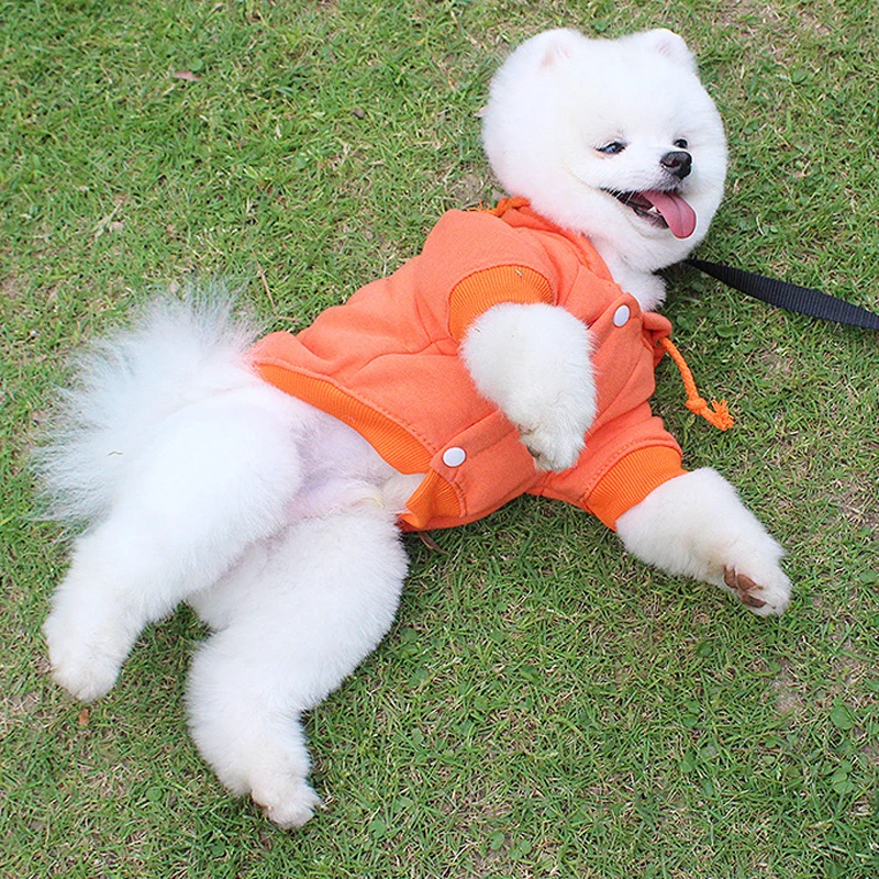 Модная весенняя одежда для собак комбинезоны комбинезон питомцев щенков кошек