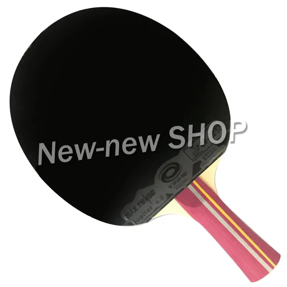 Ракетка для настольного тенниса Milky Way Galaxy YINHE 02B 02 B pips in Long Shakehand FL + чехол летучей