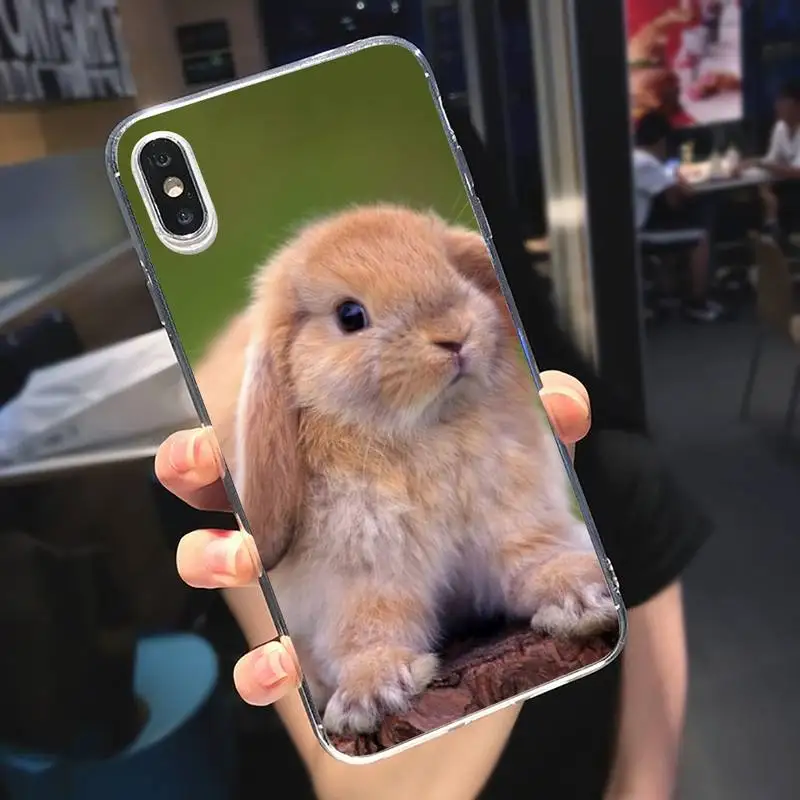 

Cute animal rabbit Phone Case Transparent soft For iphone 5 5s 5c se 6 6s 7 8 11 12 plus mini x xs xr pro max