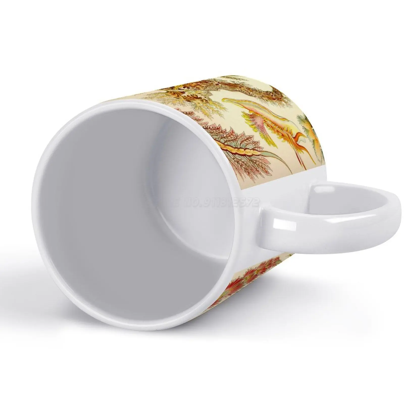 Белая кружка с морскими сливами-Эрнст Haeckel новинка принтом хорошего качества