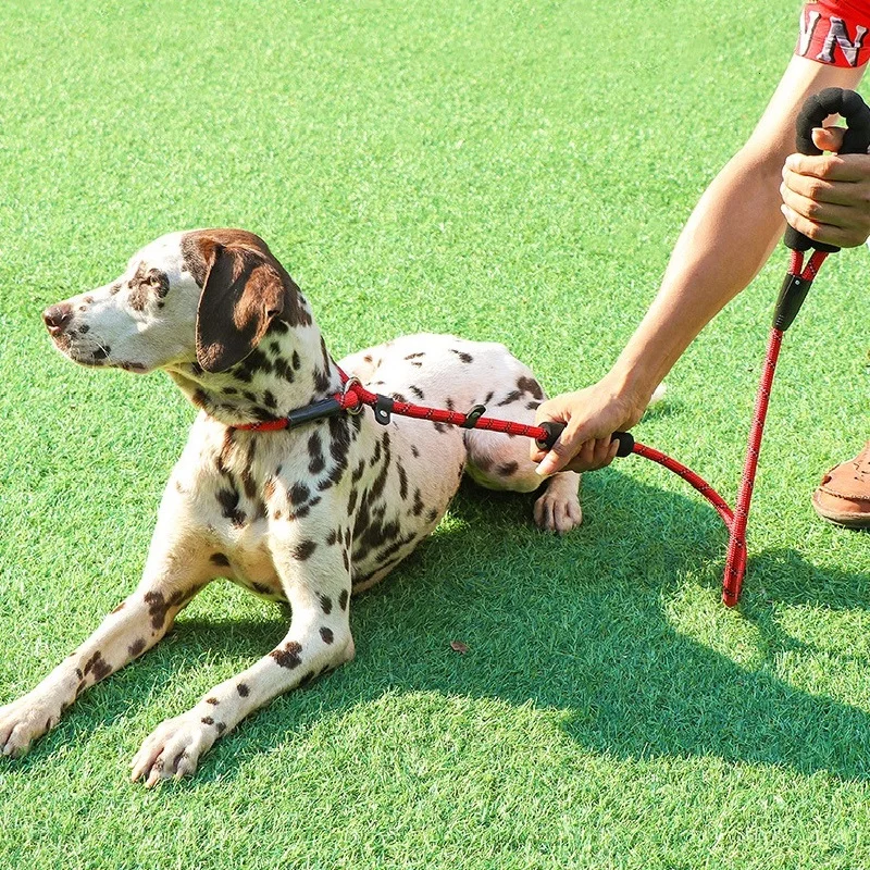 150cm Quality Dog Leash Collar Nylon Rope  Adjustable Dog Collar Thick Leash For Large Big Dog Medium Pet Supplies Leash Product images - 6