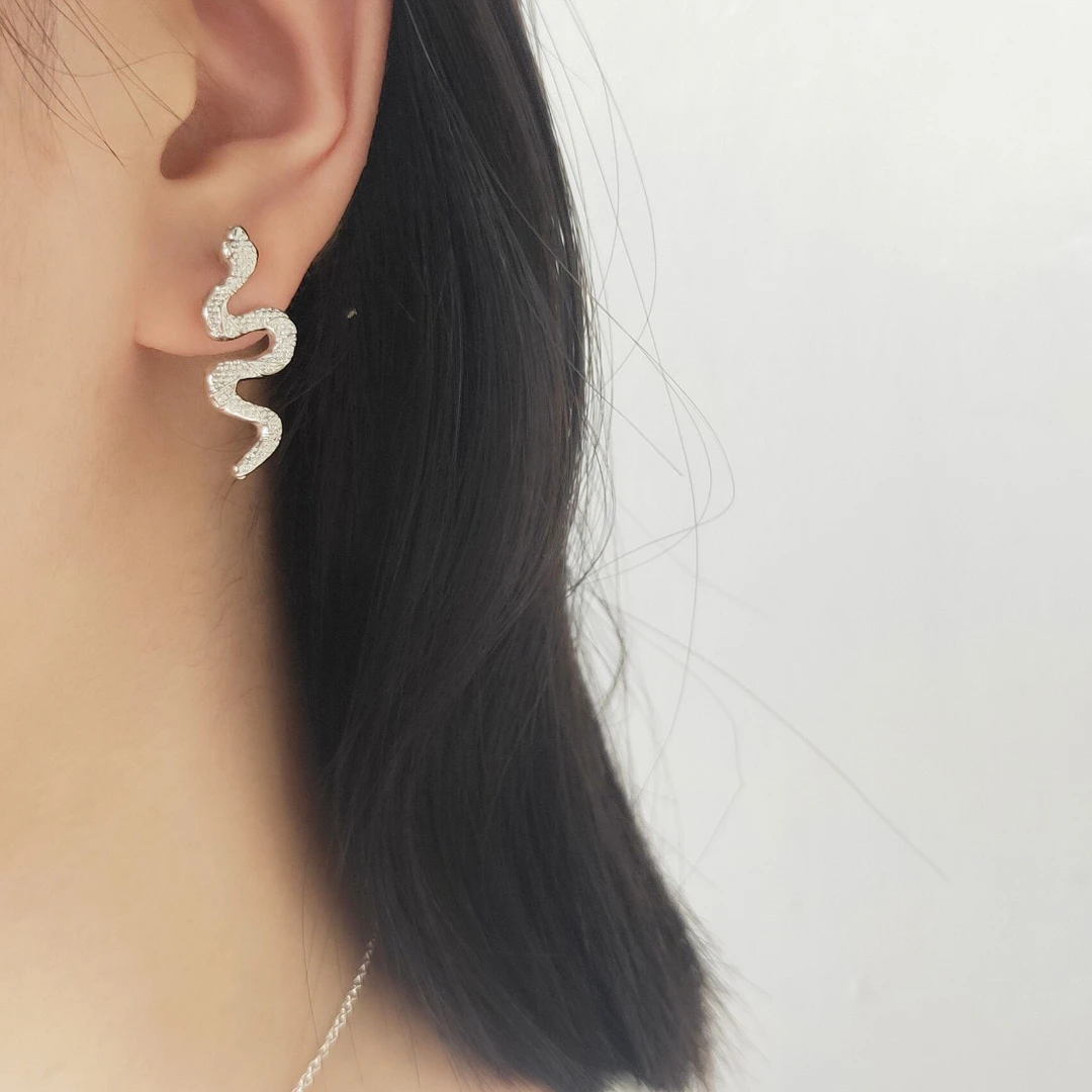 

Simple Long Snake Stud Earrings Simple Metal Snake Geometric Earrings For Women Vintage Animal Broncos Female Jewelry Gift