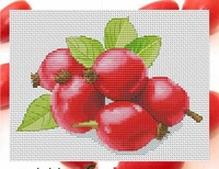 zz1550 diy homefun cross stitch kit packages counted cross stitching kits new pattern not printed cross stich painting set