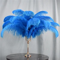lake blue ostrich feather decor 15 70cm6 28 ostrich feathers for crafts wedding party centerpieces home decoration decorative