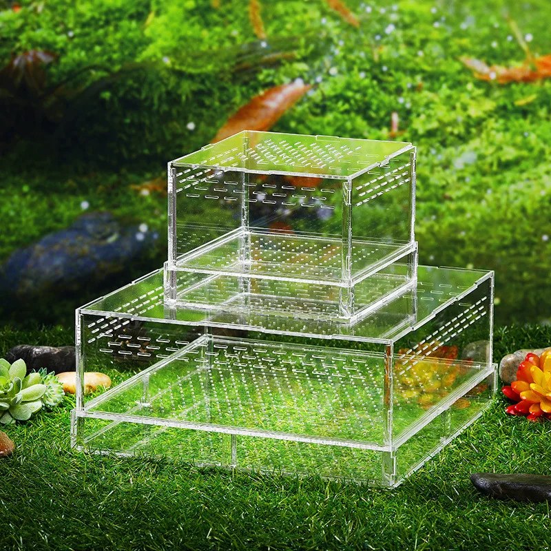 Коробка для кормления хлеба 1 шт. акриловая коробка насекомых желтая мелких