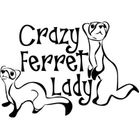 13 59 4cm crazy ferret lady decal window bumper sticker car decor pet ferrets love furry vinyl hobby car bumper sticker