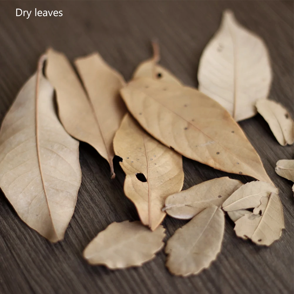 10 шт./компл. натуральные сухие растения сосновые шишки фото фон деревянные чипсы