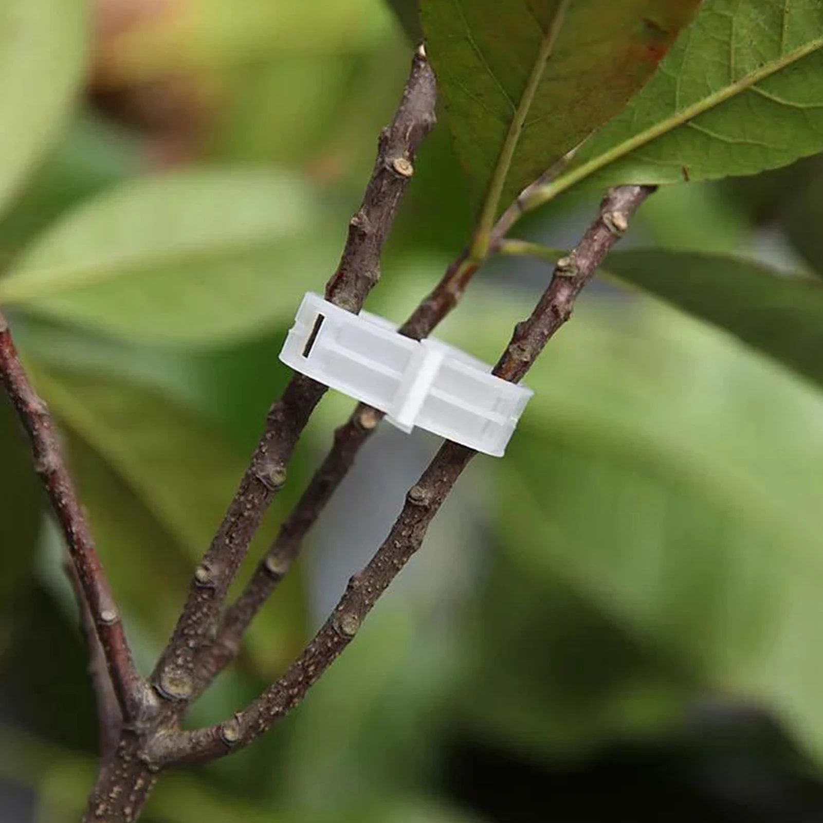 

Plant growth vine fixing clip, reusable grafting fixing tool, gardening supplies for vegetables and tomatoes, fast delivery