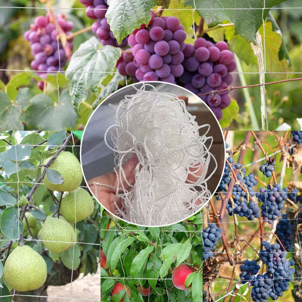 

Plant Climbing Net New Weave Multi Sizes Flowers Heavy-Duty Polyester Vegetables Trellis Netting