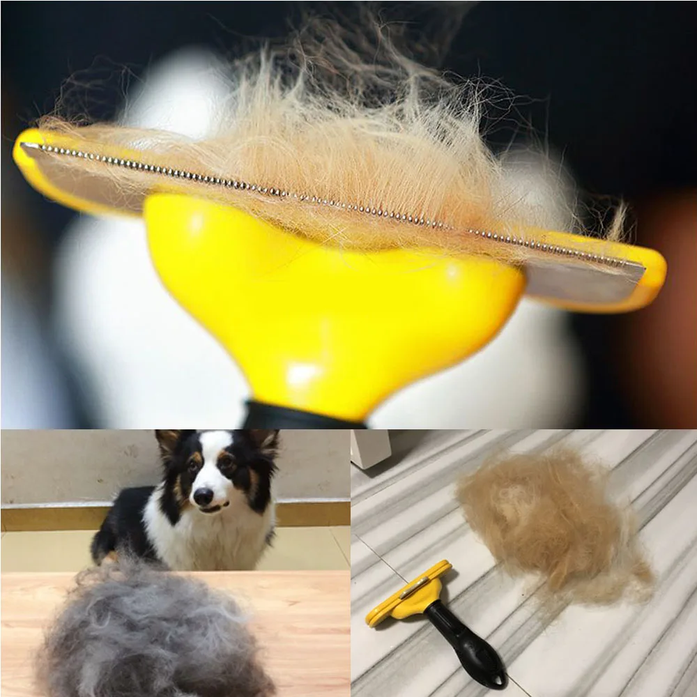 

Dog hair brush, cat care brushes, removal brushes cats products for pets
