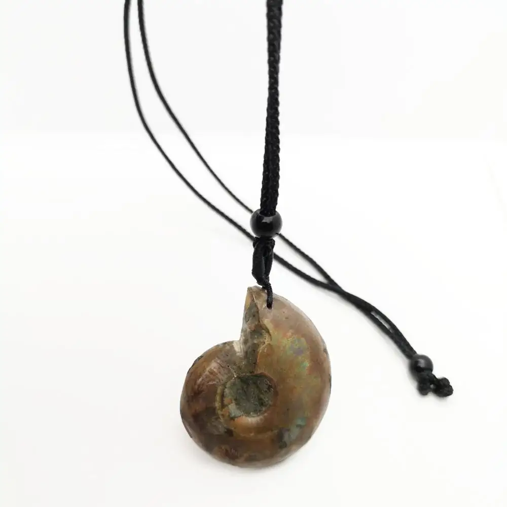 Красивый натуральный камень окаменелости аммония ракушка подвеска Улитка