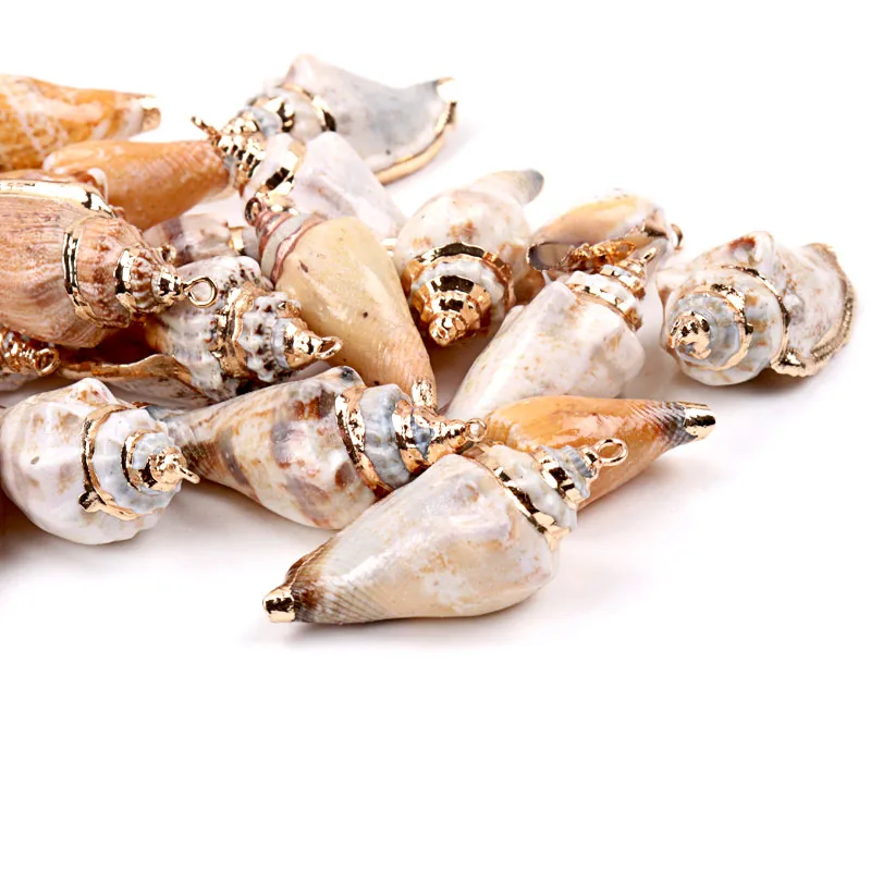 5 шт. спиральные ракушки для украшения дома|Ракушки и морские звезды| |