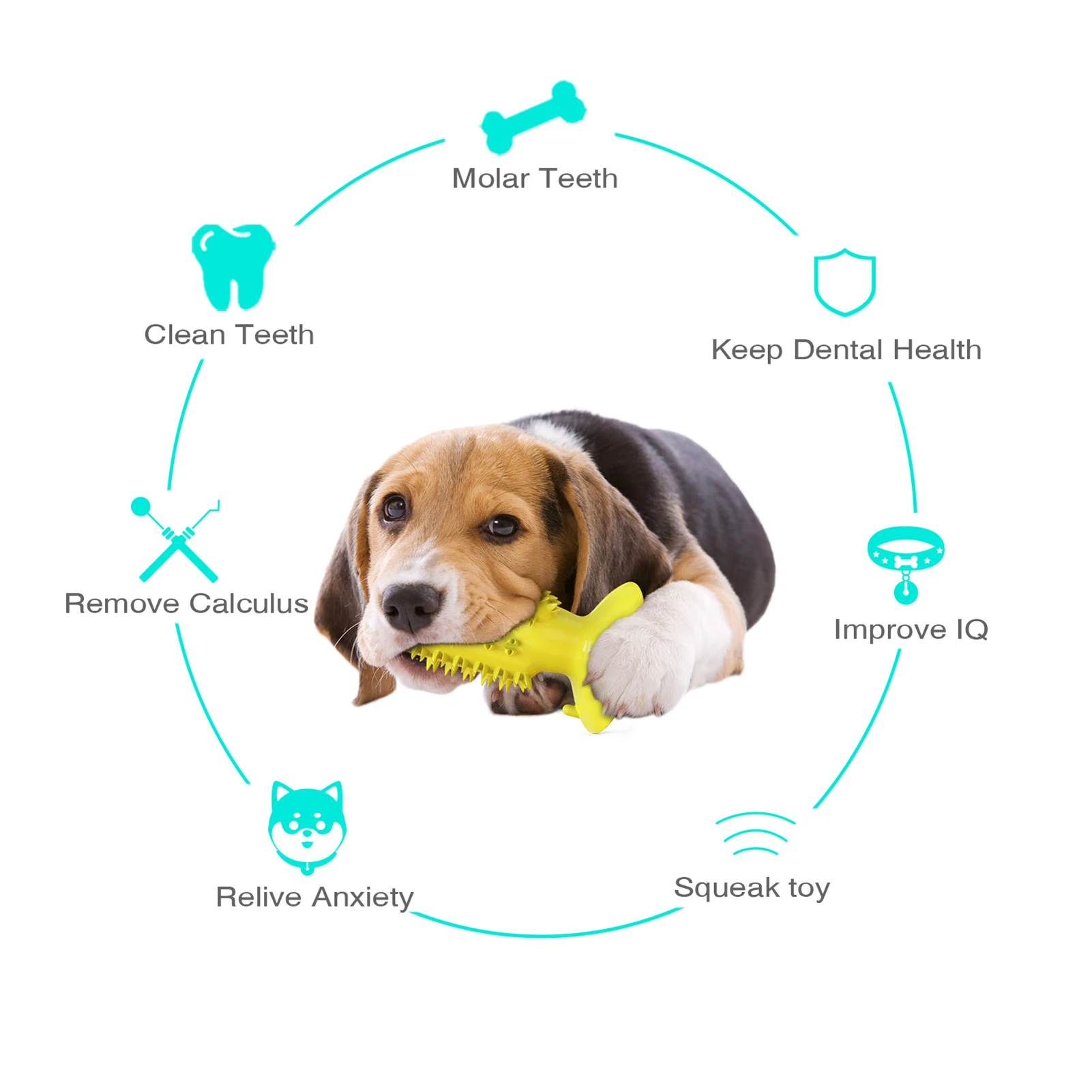 

Dog Squeaky Float Toy Super Bite-Resistant Molar Stick Puppy Toys Dogs Supplies Pet Cactus-Shaped Doggy Toothbrush