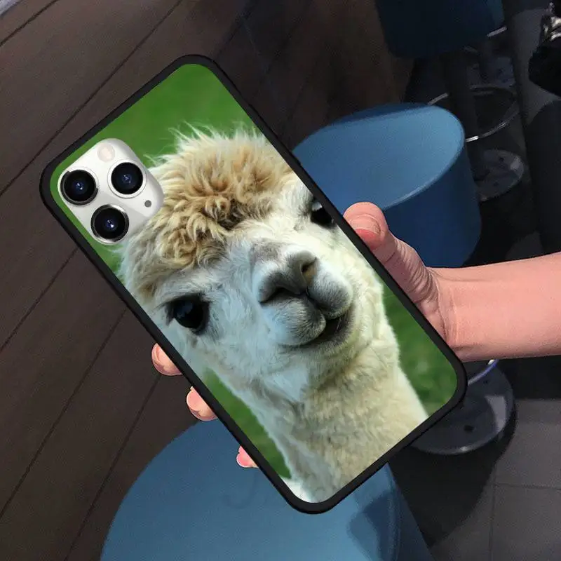 

Lama Llama Alpacas Animal Phone Case for iPhone 11 12 pro XS MAX 8 7 6 6S Plus X 5S SE 2020 XR shell cover funda