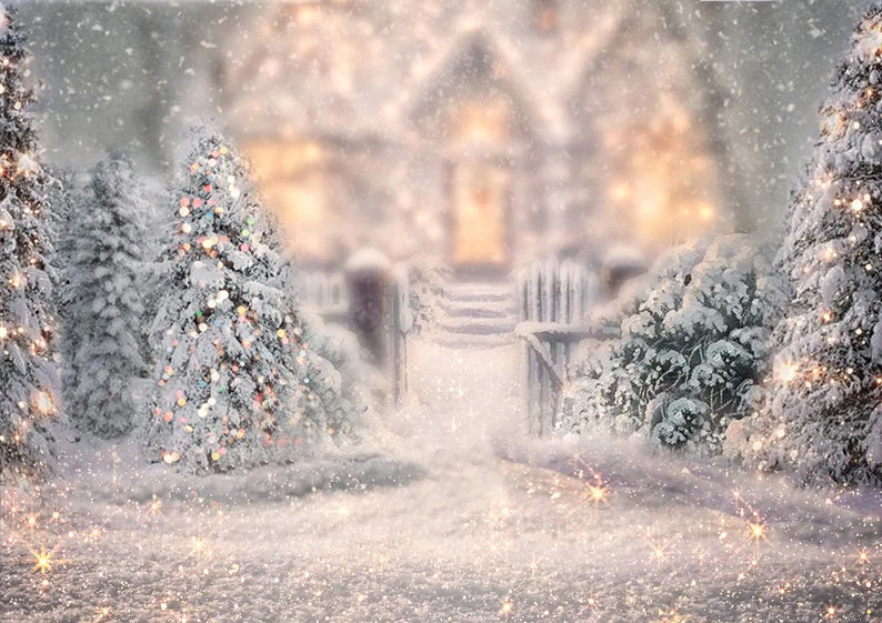 Рождественский фон для фотосъемки Зимний снег детской студийный реквизит