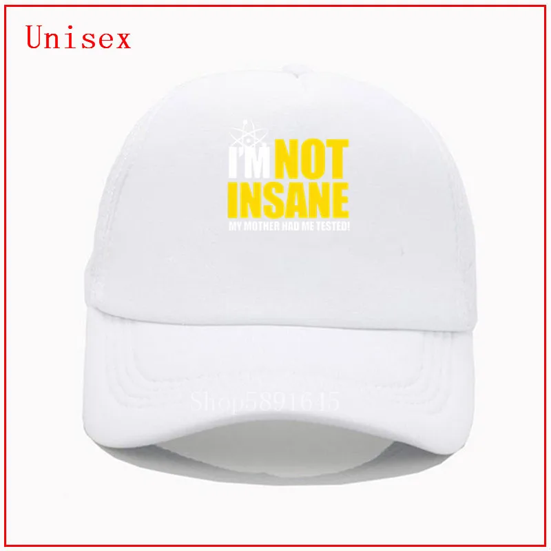 Кепка THE THEORY для мужчин и женщин бейсболка с забавным рисунком Я не безумный