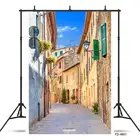 Дорожный кирпичная стена комнатные растения фон для фотосъемки с изображением виниловый тканевый фон для фотостудии фон Подставки для фотографий для домашних животных Детские портретной студийной съёмки